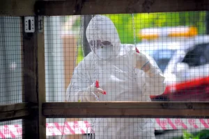 خبراء يطمئنون: لا خطر على المغرب بعد تسجيل إصابة بإنفلونزا الطيور في أوروبا