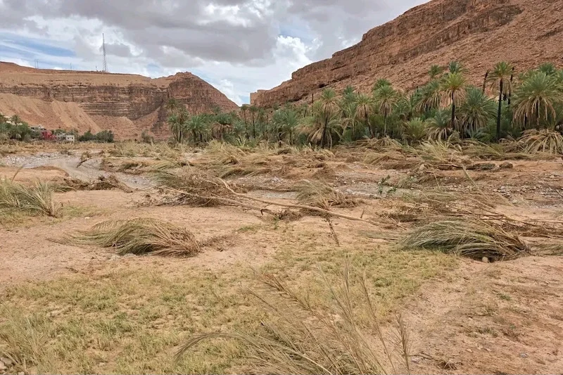 واحات سموكن مهددة بالاندثار بعد أكثر من عام على فيضانات 2024