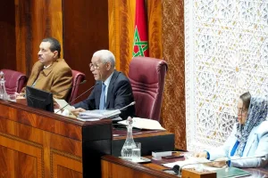 مجلس النواب يواجه تراكم تقارير مجموعات العمل الموضوعاتية قبل نهاية الولاية