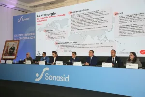 “صوناسيد” تحقق نمواً قوياً وأرباحاً قياسية في 2025