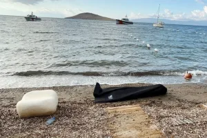 غرق 18 مهاجراً قبالة سواحل بودروم التركية في بحر إيجه