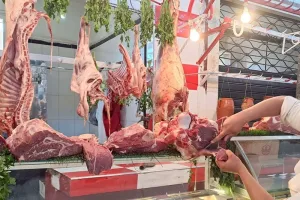 تحذيرات من موجة غلاء جديدة في لحوم الأبقار بالمغرب