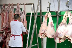 تراجع طفيف لأسعار لحم الغنم ببوقنادل واستمرار الغلاء قبيل عيد الأضحى