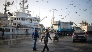 تراجع مفرغات الصيد بالناظور وتباين أداء الأنواع البحرية خلال الربع الأول من 2026