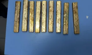 إحباط تهريب نحو 7 كيلوغرامات من الذهب بميناء طنجة المتوسط