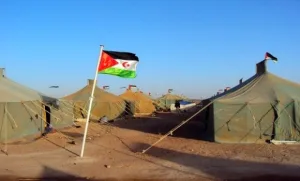 حين جاعت “الجمهورية الوهمية” … وكشف العدس إفلاس مشروع البوليساريو، وتبخّر الملايير في رمال تندوف