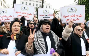 نقابة التعليم العالي تهاجم مشروع قانون المحاماة :   “جدار” يفصل الجامعة عن الممارسة