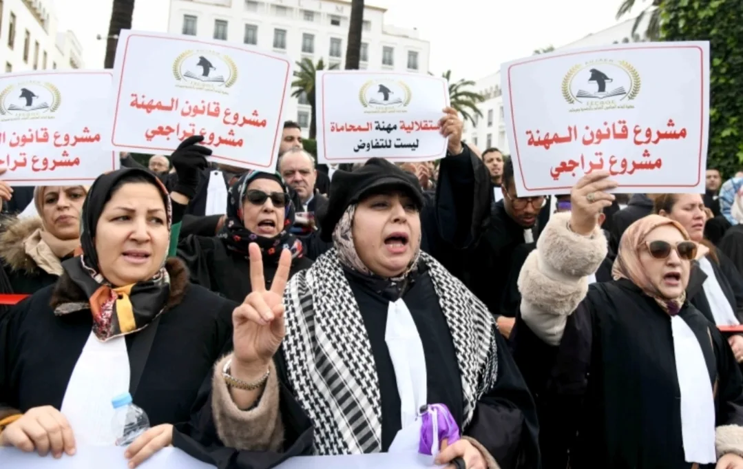 نقابة التعليم العالي تهاجم مشروع قانون المحاماة :   “جدار” يفصل الجامعة عن الممارسة