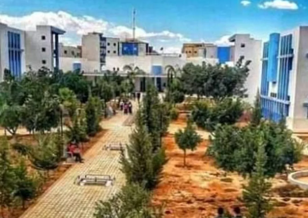 الناظور :   تعثر مشروع إعادة هيكلة التعليم العالي يضع الكلية متعددة التخصصات بسلوان في انتظار الترقية ضمن 33 مؤسسة
