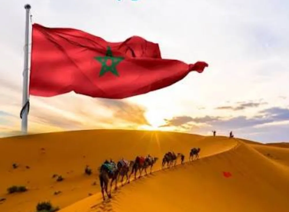 زامبيا تجدد دعمها لمغربية الصحراء