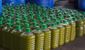 المغرب يقتحم بقوة سوق زيت الزيتون بإسبانيا ويصعد إلى المراتب الأولى في ظرف قياسي