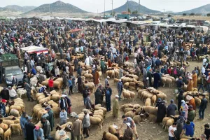 عيد الأضحى يرفع تداول الكاش ويضغط على سيولة البنوك
