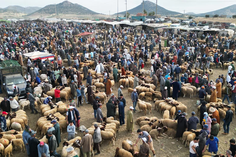 عيد الأضحى يرفع تداول الكاش ويضغط على سيولة البنوك