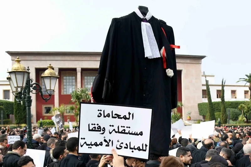 أساتذة القانون يجددون مطلب الجمع بين الجامعة والمحاماة