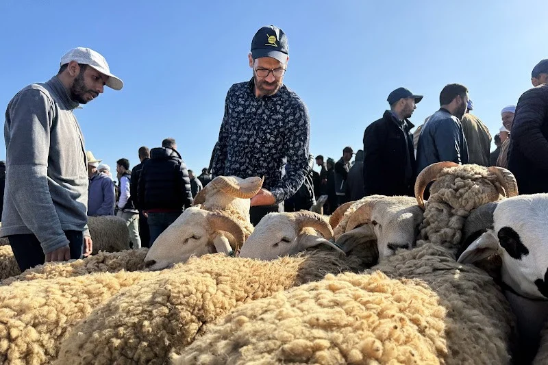 صرف مبكر للأجور ينعش سيولة العيد ويثير مخاوف ما بعد الأضحى