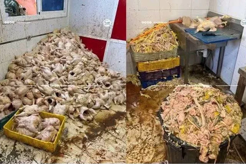 طنجة.. حجز طنين من الدجاج الفاسد داخل مستودع بخندق الدير