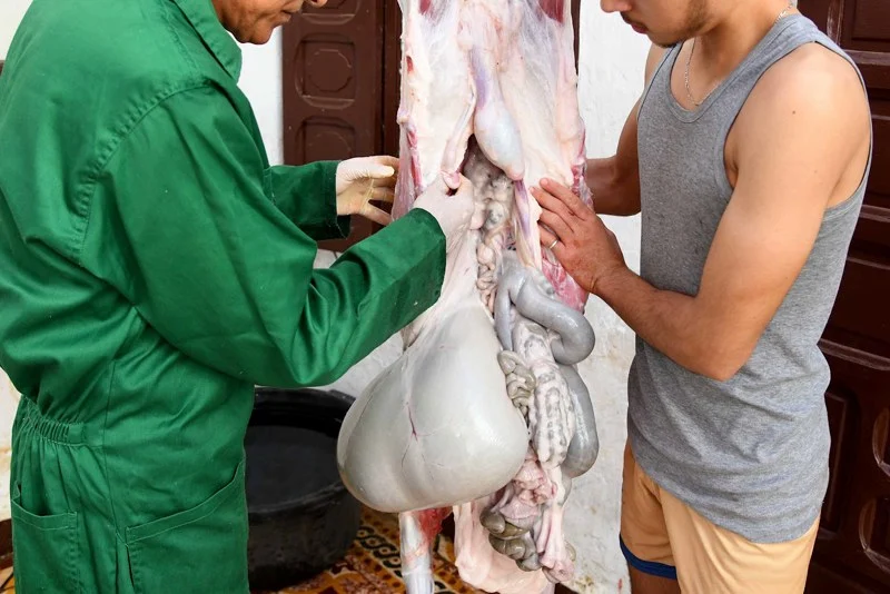 موجة الحر ترفع مخاطر فساد لحوم الأضاحي