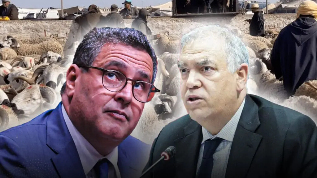 تقرير مرتقب يضع أرقام أضاحي العيد تحت المجهر