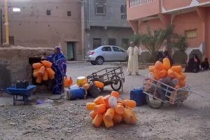 عطش تاكونيت وكتاوة يتجدد مع حرارة الصيف في زاكورة