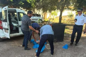 السعيدية :      إحباط محاولة نقل كمية كبيرة من اللحوم الفاسدة كانت موجهة للترويج في ظروف كارثية
