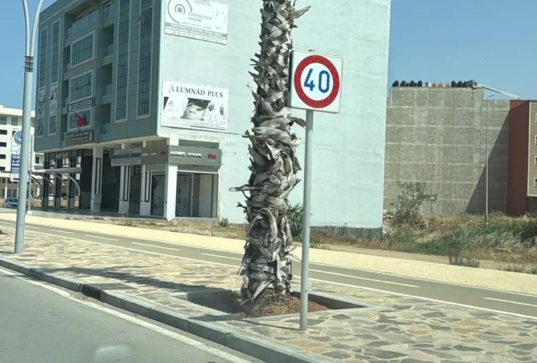 الناظور:     لماذا 40 كلم/س في شارع الريف الضخم والواسع ؟  سؤال يثير استياء السائقين والمواطنين
