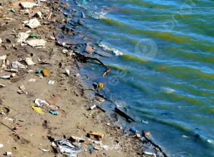الدريوش :    شاطئي رحاش وتاندا بتروكوت يتحولان إلى مطرح مفتوح للنفايات وسط مطالب بتدخل عاجل