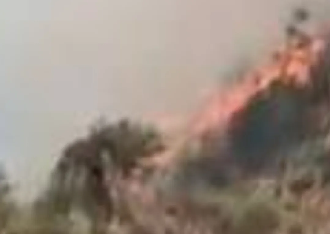 الحسيمة :        حريق مهول يهزّ بادس ويستنفر السلطات … والسبب لا يزال لغزاً