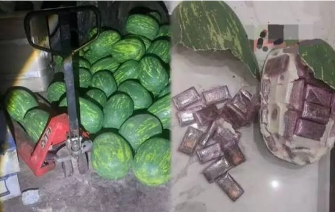 طنجة :      إحباط محاولة لتهريب 700 كيلوغرام من الحشيش داخل قوالب مموهة على شكل “الدلاح”