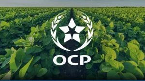البيت الأبيض يعلن تعليقًا مؤقتًا لرسوم على واردات الأسمدة الفوسفاتية من المغرب
