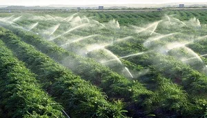 تقرير أمريكي: ندرة المياه تختبر رهانات المغرب الخضراء