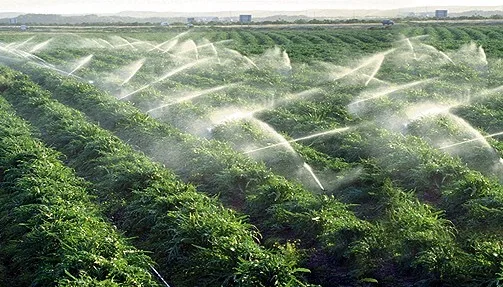 تقرير أمريكي: ندرة المياه تختبر رهانات المغرب الخضراء