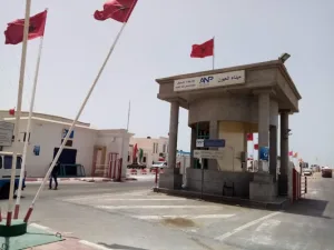 تدابير تنظيمية جديدة بميناء العيون لمواجهة ضغط مفرغات الأسماك السطحية