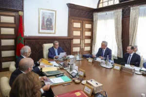 أخنوش يدعو لتسريع المصادقة على قانوني الإحصاء والمندوبية السامية للتخطيط