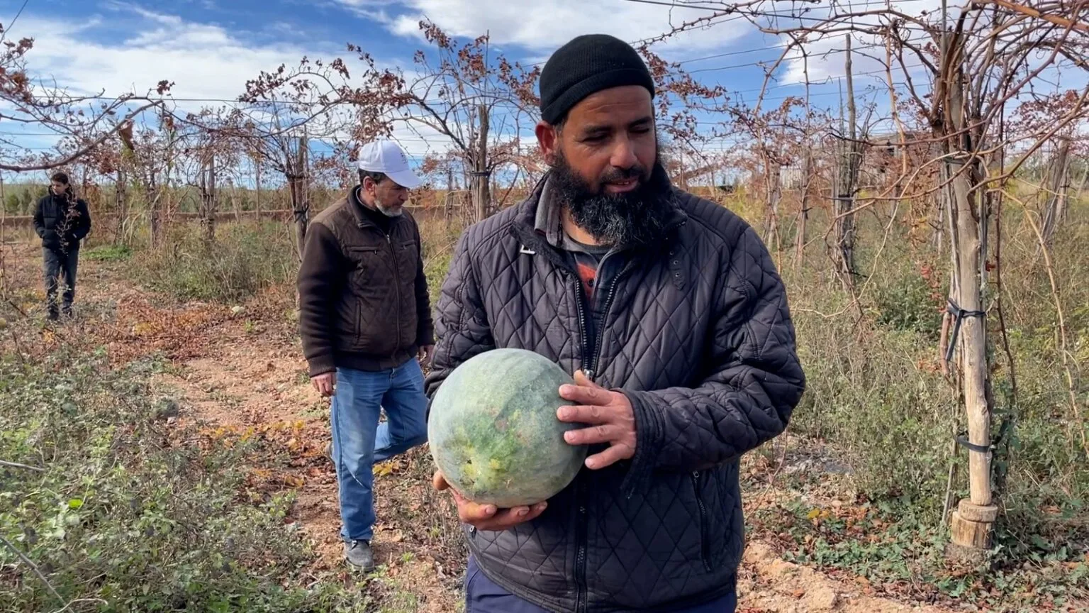 إحياء البذور الأصلية في المغرب.. فلاحون يواجهون الاندثار لاستعادة ذاكرة الأرض