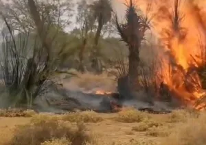 حريق مهول يلتهم حقولاً زراعية بتنجداد ويعيد مطلب إحداث مركز للوقاية المدنية