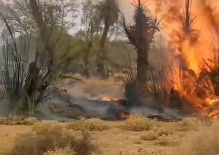 حريق مهول يلتهم حقولاً زراعية بتنجداد ويعيد مطلب إحداث مركز للوقاية المدنية