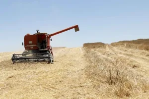 موسم فلاحي واعد يعيد الإنتاج إلى الواجهة ويثير أسئلة الأسعار