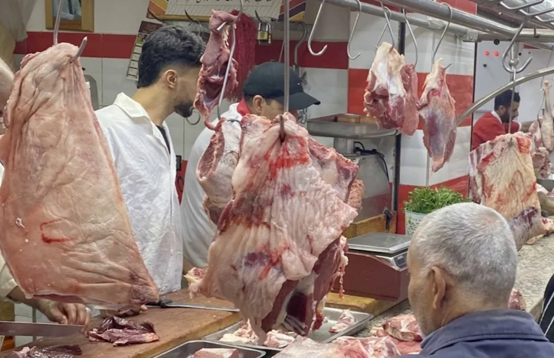 اللحوم الحمراء ترفض التراجع … الغلاء يواصل مطاردة المغاربة من الناظور والحسيمة إلى طنجة والرباط والدار البيضاء رغم ركود الأسواق