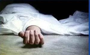 جريمة تهز الجديدة :      أربعيني يقتل والدته السبعينية بعد شجار داخل منزل الأسرة
