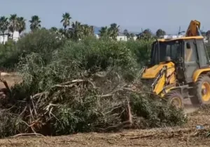 الفنيدق :    أشغال مثيرة للجدل بكورنيش المدينة تثير تساؤلات حول تجريف الأشجار واستغلال الملك العام