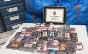 إحباط محاولة لتهريب نصف طن من الحشيش بمعبر الكركارات