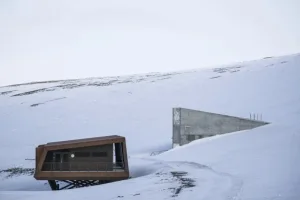 المغرب يعزز مخزونه الجيني بإيداع بذور في «قبو يوم القيامة»