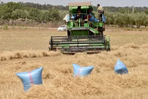 خبراء: الاستهلاك يدعم نمو الاقتصاد المغربي والاستثمار يثير القلق