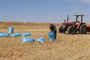 تقييم “الجيل الأخضر” يفتح ملف تحديات الفلاحة المغربية
