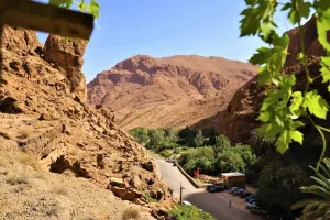رياح الشركي ترفع الحرارة إلى 46 درجة والأرصاد توسع نطاق الإنذار البرتقالي