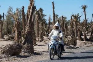 موجة حر قوية تضرب المغرب ودرجات الحرارة تقترب من 47 درجة