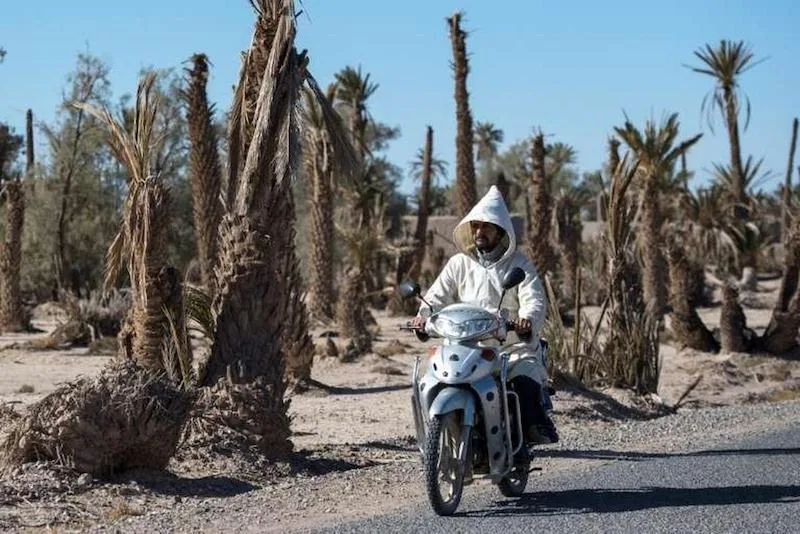 موجة حر قوية تضرب المغرب ودرجات الحرارة تقترب من 47 درجة