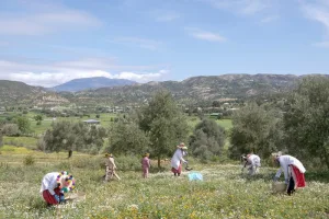 مؤسسة OCP توسع أثرها التنموي عبر 256 مشروعا خلال 2025