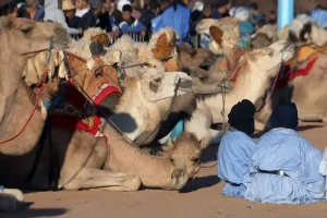 مشروع الجنسية الإسبانية للصحراويين يتقدم داخل البرلمان ويقترب من لجنة العدل