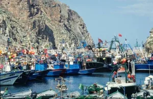 الحسيمة :    البحر يرسل إنذاراً جديداً … الصيد يتراجع وملايين الدراهم تتبخر من شباك المفرغات